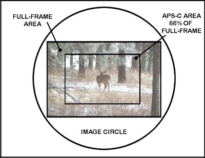 Camera Sensors APS-C