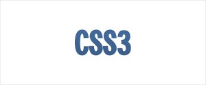 css3