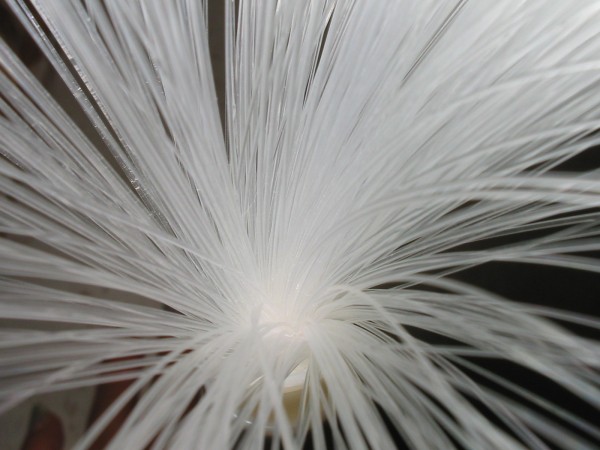 Fiber Optics Technology May No Longer Be Able to Meet the Data Demand Fiber Optics Technology May No Longer Be Able to Meet the Data Demand