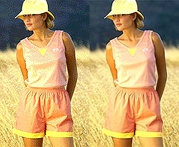 Color Palettes and Graphics