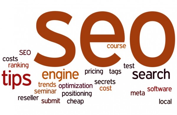 Building a Successful SEO Campaign
