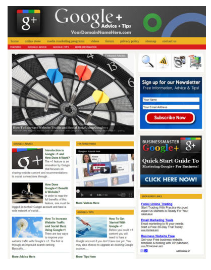 google plus website auction on ebay