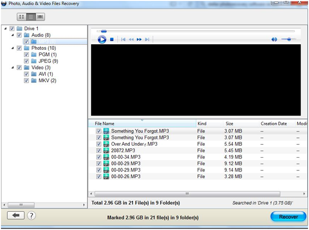 Stellar Phoenix Photo Recovery Review