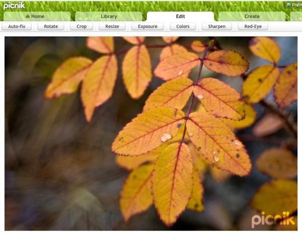 picnik 7 Free Alternatives to Photoshop for Web Designers