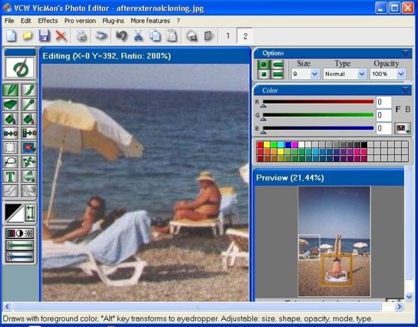 vicman_photo_editor 7 Free Alternatives to Photoshop for Web Designers