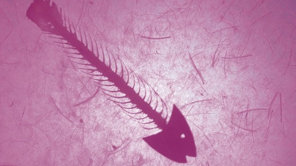 Choosing data for preserving science